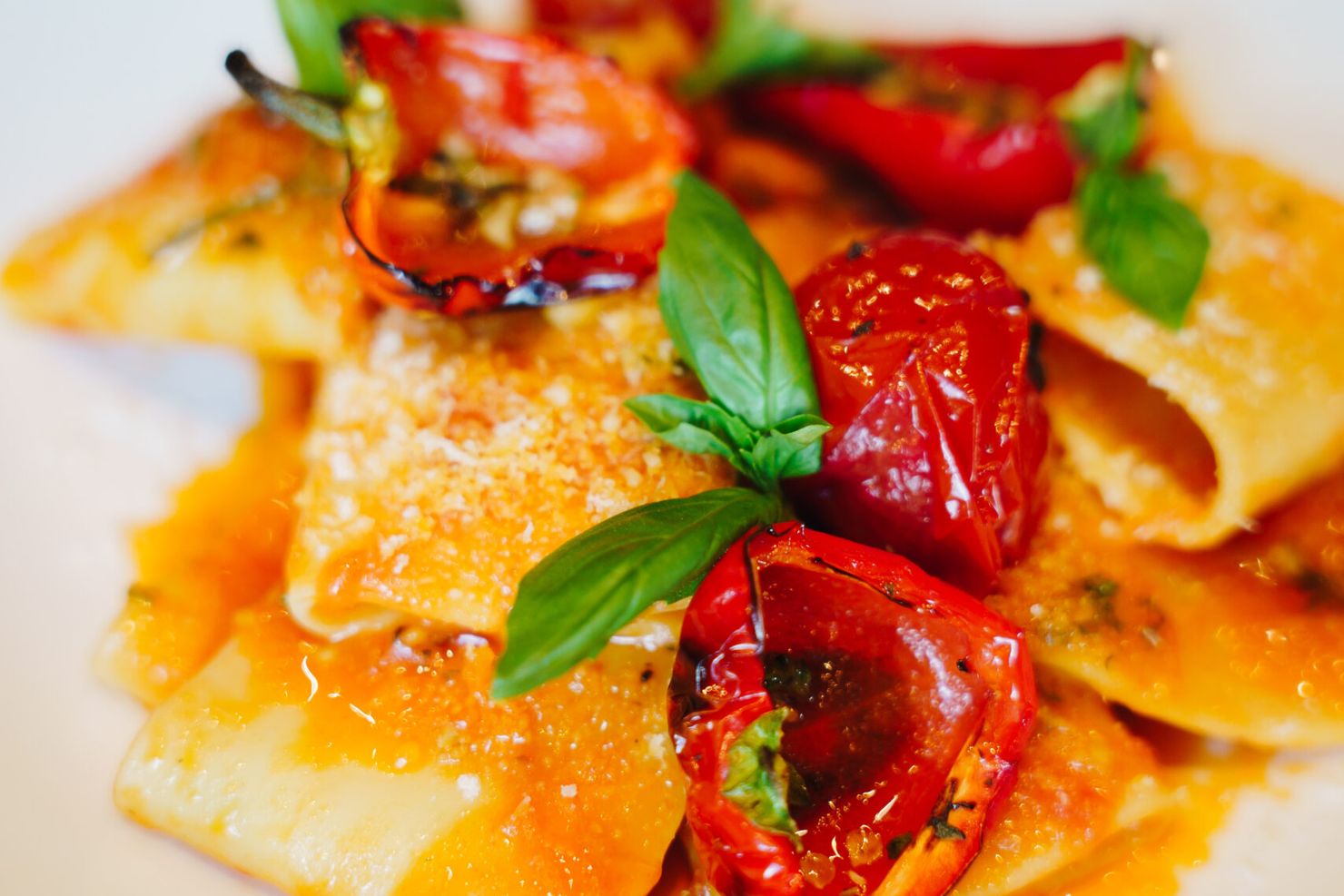 Paccheri met geroosterde kerstomaatjes, verse basilicum en geraspte kaas op een wit bord